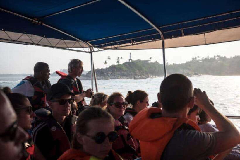 Mirissa: Whale Watching Cruise - What a whale sighting is really like