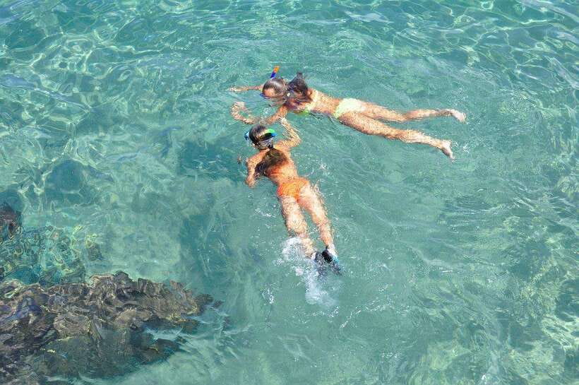 Mirissa: Whale Watching, Snorkeling, and Coconut Hill Tour - Two hours snorkeling with turtles