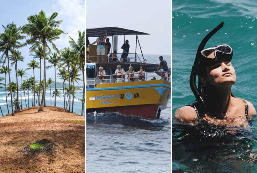 Mirissa: Whale Watching, Snorkeling, and Coconut Hill Tour - Who should book this experience