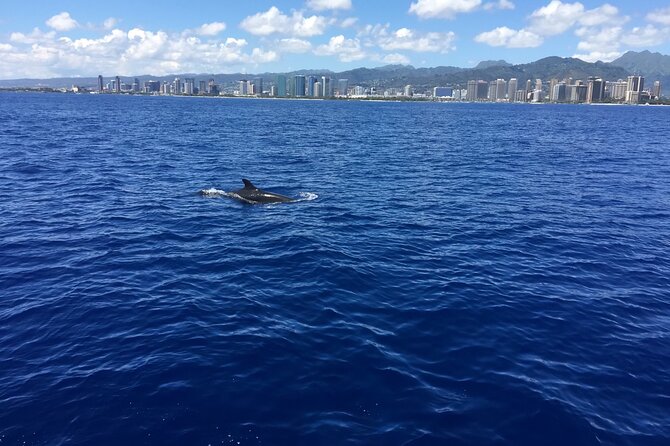 Moana’s Waikīkī Whale Watching Exploration - A comfortable catamaran, with room to move