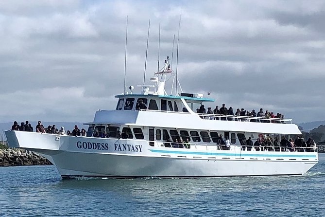 Monterey Bay Whale Watching - Why Moss Landing is the smart departure point