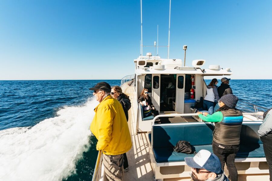 Monterey Bay: Whale Watching Tour - Passing Cannery Row and entering the sanctuary