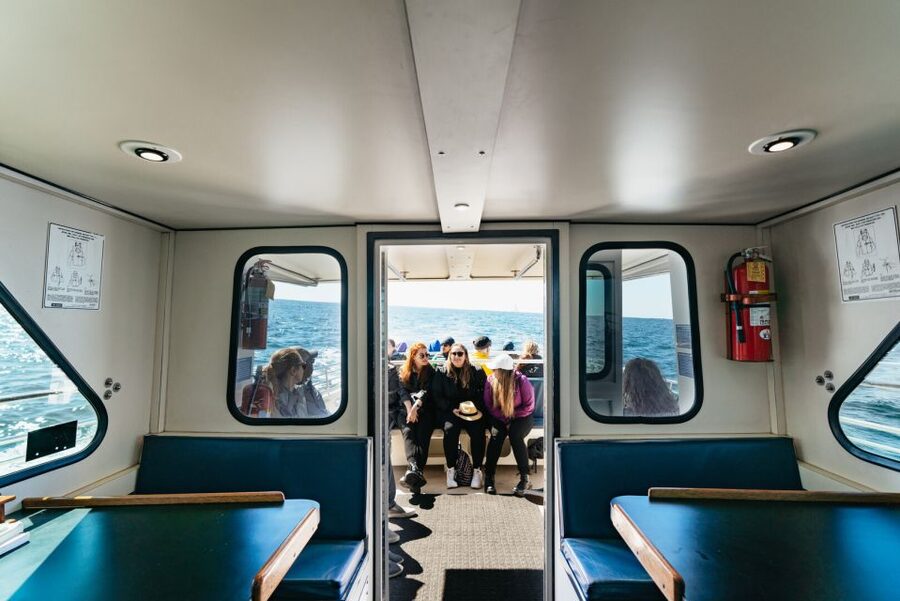 Monterey Bay: Whale Watching Tour - Summer and fall: follow the feeding whales