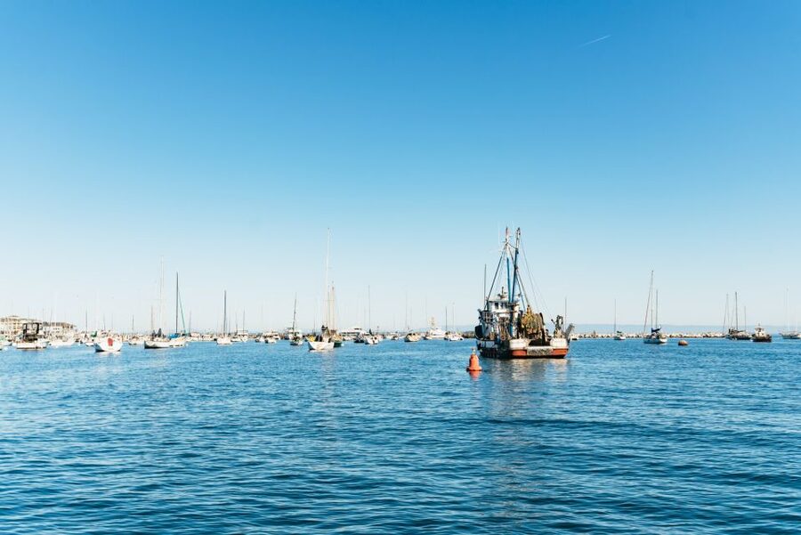 Monterey Bay: Whale Watching Tour - The biologist and crew make the difference