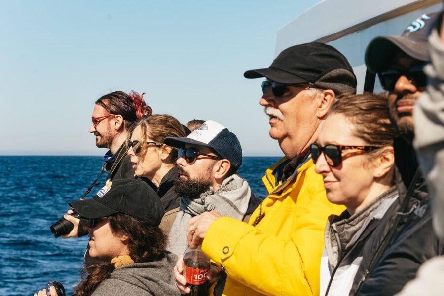 Monterey Bay: Whale Watching Tour - What the boat ride feels like