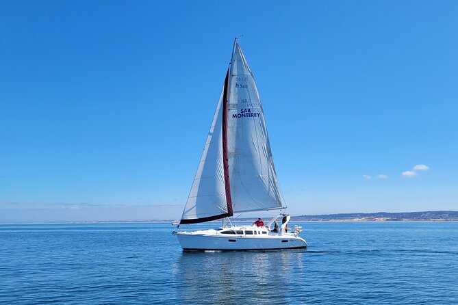 Monterey Private 3 - 4 Hour Whale Watching Cruise - Key points to know before booking