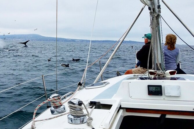 Monterey Private 3 - 4 Hour Whale Watching Cruise - Meeting the boat at Old Fisherman’s Wharf