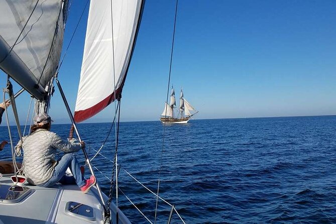 Monterey Private 3 - 4 Hour Whale Watching Cruise - Wildlife highlights to watch for