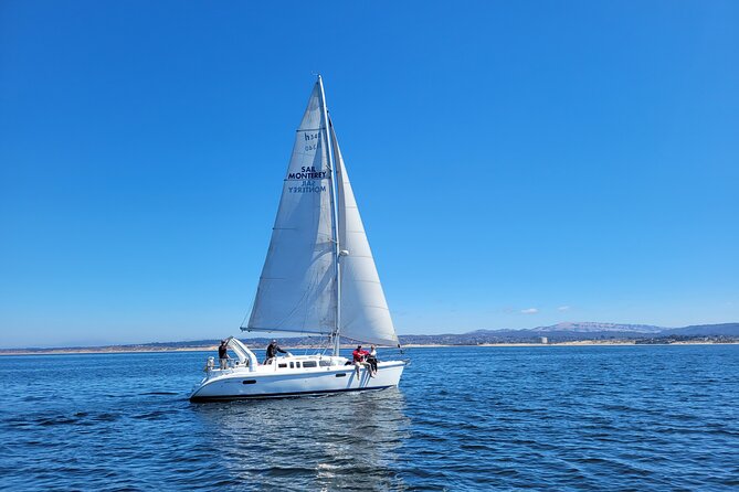 Monterey Private 3 - 4 Hour Whale Watching Cruise - A quieter feel than a crowded whale boat