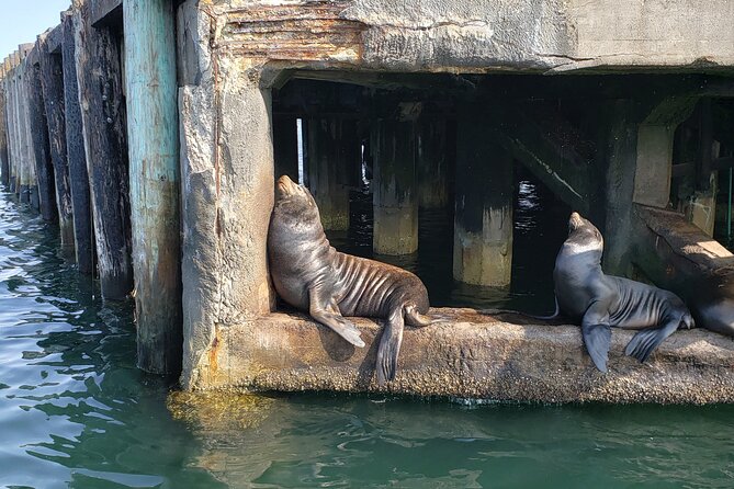 Monterey Private 3 - 4 Hour Whale Watching Cruise - Price, timing, and practical value