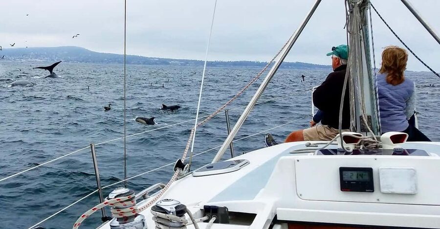 Monterey: Private Whale Watching/Sailing Tour for 6 - Setting out from Old Fisherman’s Wharf
