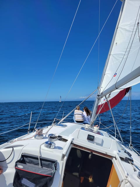 Monterey: Private Whale Watching/Sailing Tour for 6 - Captain Tiki, Kiwi, and the human side of the trip