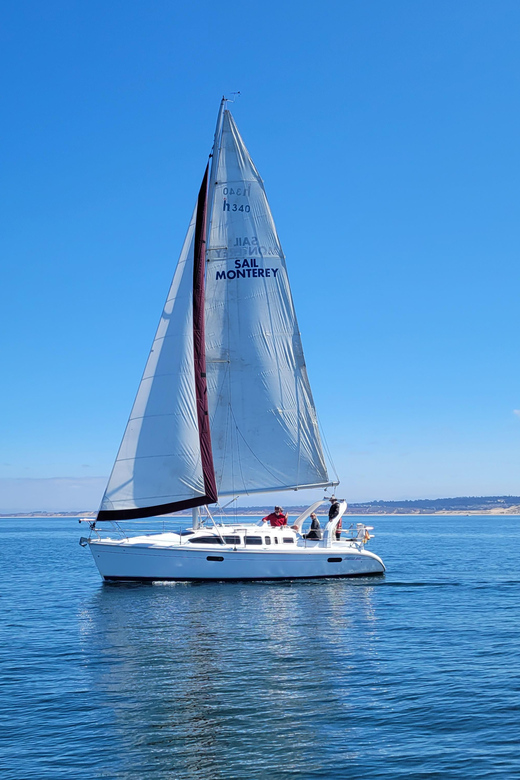 Monterey: Private Whale Watching/Sailing Tour for 6 - Three and a half hours on Monterey Bay