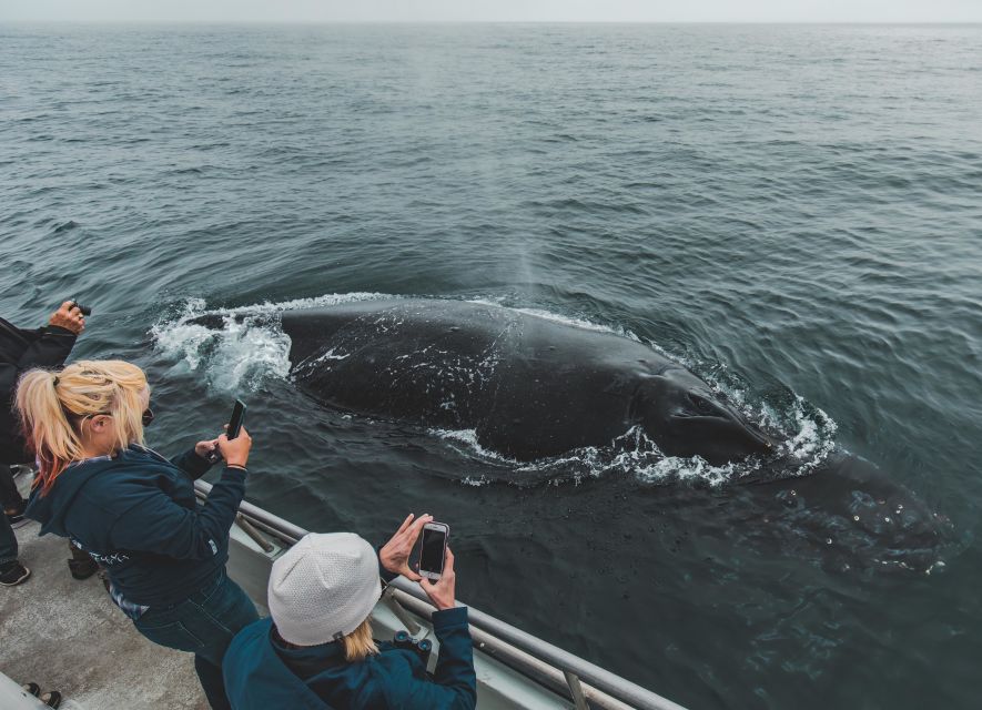 Monterey: Sunset Whale Watching Cruise with A Guide - Leaving Fisherman’s Wharf for Monterey Bay