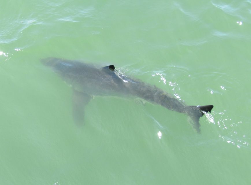 Monterey: Whale Watching Cruise - Is $71 a fair price?