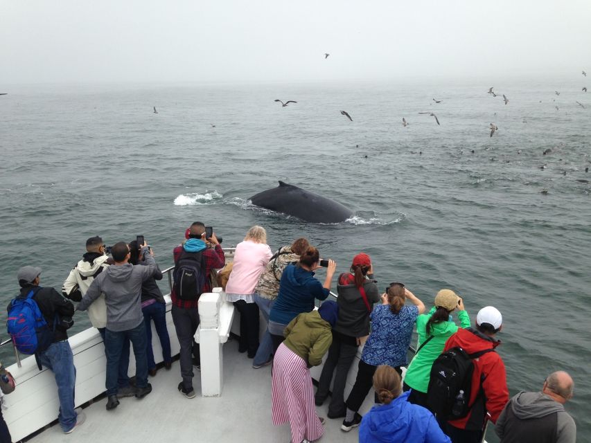 Monterey: Whale Watching Cruise - Leaving Moss Landing harbor