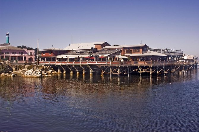 Monterey Whale Watching Tour - Key Points Before You Book