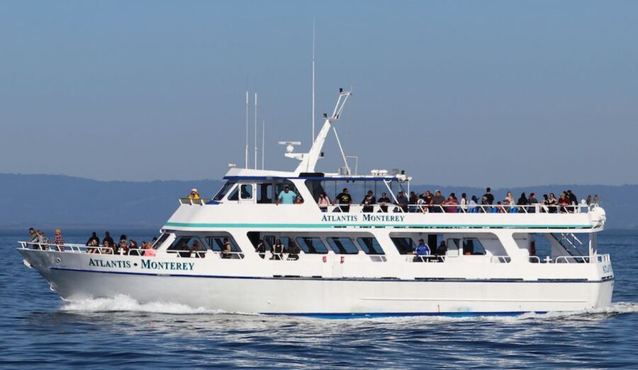 Monterey: Whale Watching Tour with A Marine Guide - Should you book the Monterey whale-watching tour?