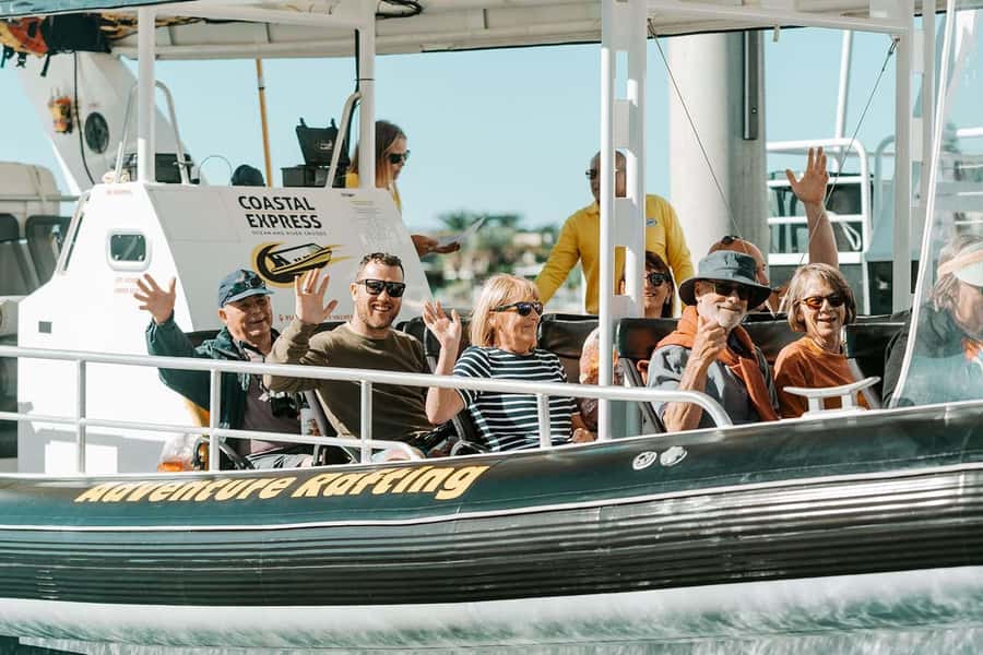Mooloolaba: 2-Hour Whale Watching Adventure - Key points before you book