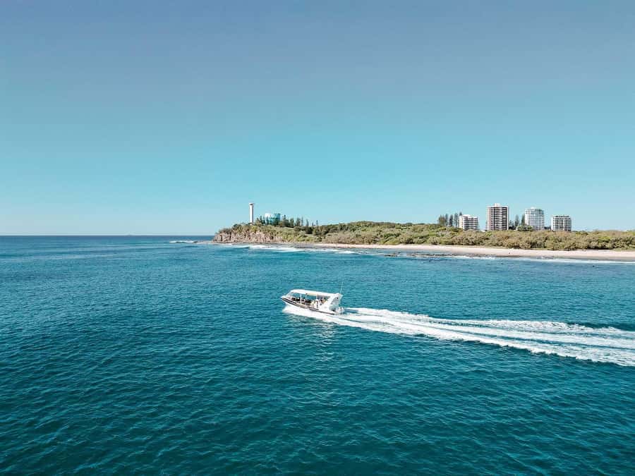 Mooloolaba: 2-Hour Whale Watching Adventure - FAQ