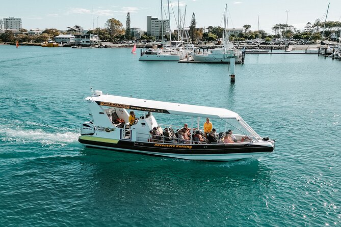 Mooloolaba Whale Watching – Small Group Tour - Why the hydrophone changes whale watching