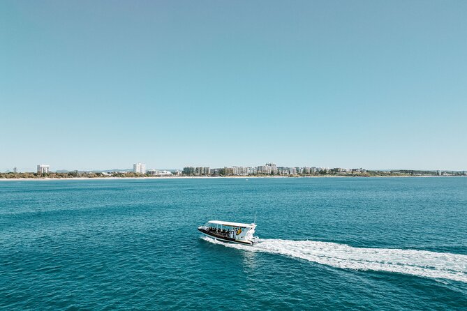 Mooloolaba Whale Watching – Small Group Tour - What the fast boat means for comfort