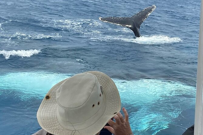 Mooloolaba Whale Watching – Small Group Tour - Mooloolaba Beach gives the tour a scenic start