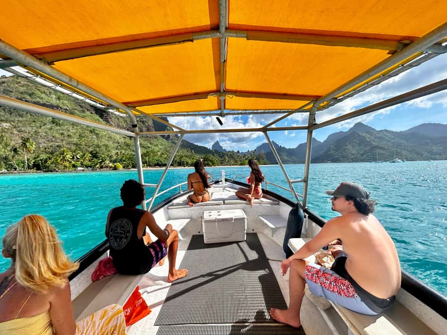 Moorea 4H Shared Boat Tour Whale Swimming and Snorkeling - Key points to know before you go