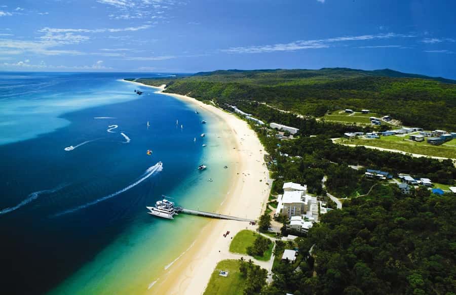 Moreton Island: Tangalooma Day Trip & Whale Watching Cruise - Three hours with humpback whales