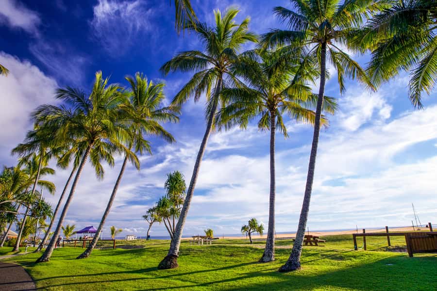 Moreton Island: Tangalooma Day Trip & Whale Watching Cruise - Is $109 good value?