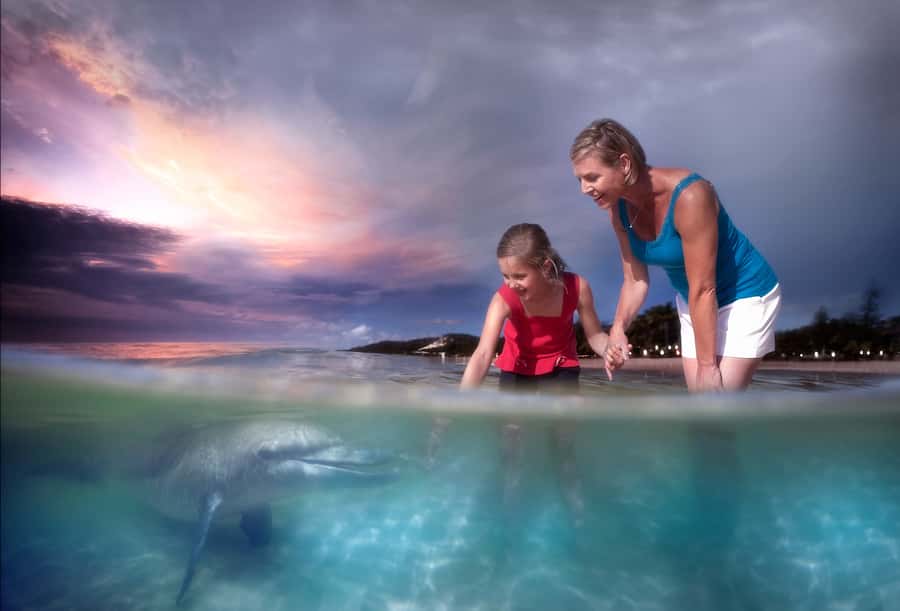 Moreton Island: Tangalooma Whale Watching & Dolphin Feeding - Practical tips for a smoother day