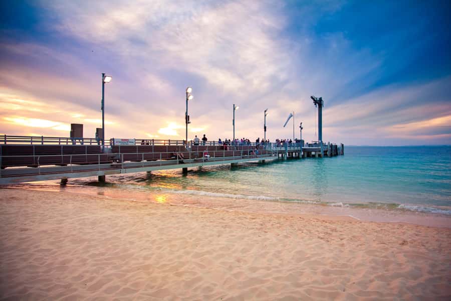 Moreton Island: Tangalooma Whale Watching & Dolphin Feeding - The optional 3:15 PM dolphin presentation