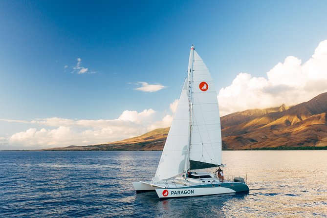 Morning Whale Watch: Lahaina Harbor - Key Points to Know Before Sailing