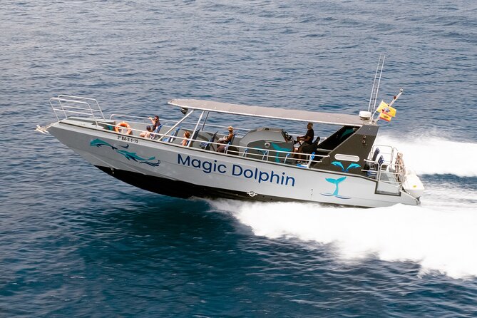 Morro Jable: 2 Hours Magic Dolphin & Whale watching with Drinks & Swim Stop. - Wildlife encounters depend on luck and timing