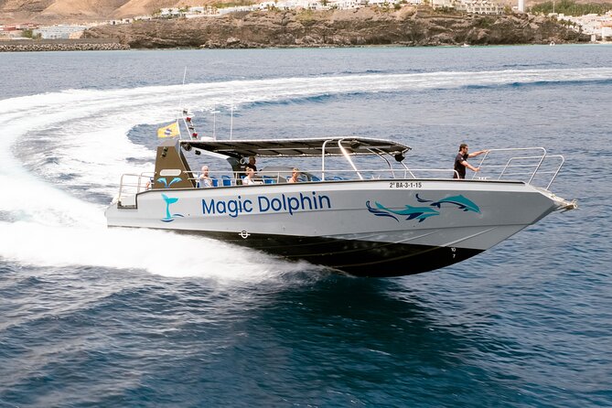 Morro Jable: 2 Hours Magic Dolphin & Whale watching with Drinks & Swim Stop. - Drinks and onboard atmosphere