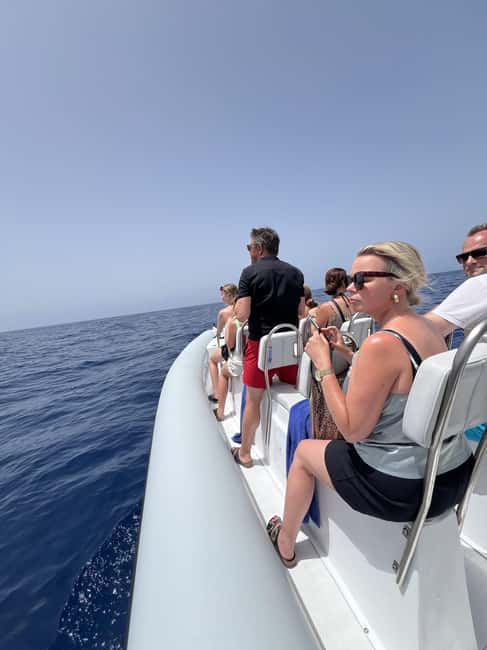 Morro Jable:Dolphin & Whale Watching Boat Tour & Snorkeling - What the €59 or $69 price gets you