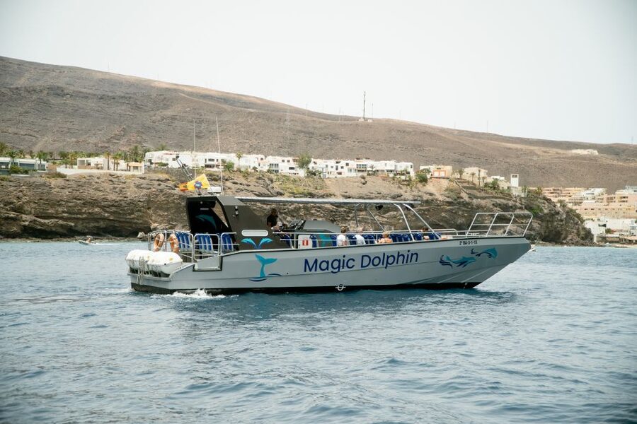 Morro Jable: Dolphin & Whale Watching Cruise, Drinks & Swim - Leaving Morro Jable Port on the Magic Dolphin