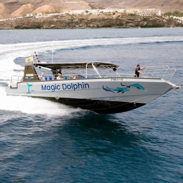 Morro Jable: Dolphin & Whale Watching Cruise, Drinks & Swim - Who Will Enjoy This Cruise Most?