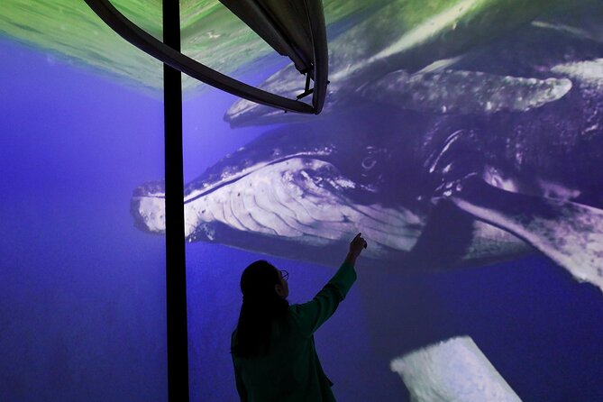 Munba National interactive Whale Museum - Whale Songs, Underwater Worlds, and Talassa’s Journey