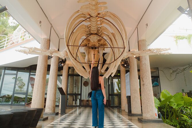 Munba National interactive Whale Museum - Is the $17.30 Ticket Good Value?
