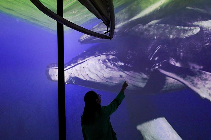 Munba National interactive Whale Museum - Who Should Book This Museum?