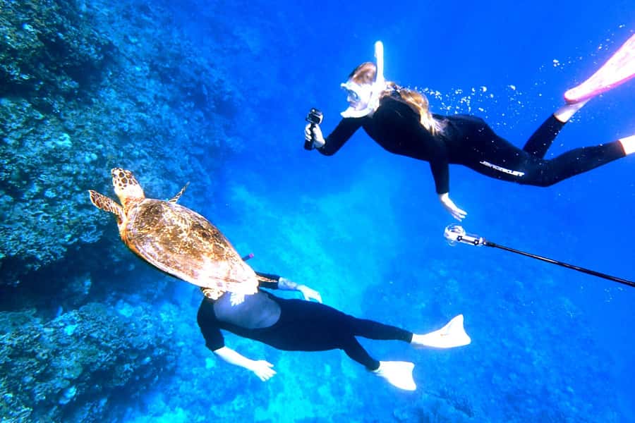 Naha:Kerama Island Experience Dive/Snorkeling/Whale Watching - What happens at the three Kerama locations