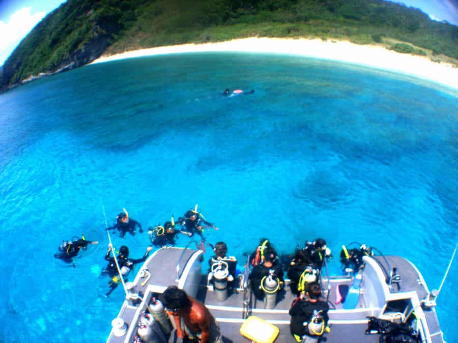 Naha:Kerama Island Experience Dive/Snorkeling/Whale Watching - Price and what you actually receive for $104