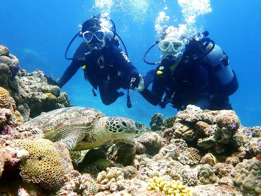 Naha:Kerama Island Experience Dive/Snorkeling/Whale Watching - The one-hour boat ride from Naha