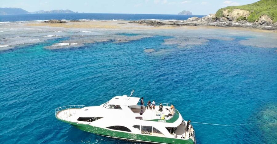 Naha:Kerama Islands 2 Fun Dive/Whale watching Limited time - Who should book this experience
