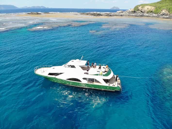Naha:Kerama Islands 2 Fun Dive/Whale watching Limited time - Choosing your underwater focus