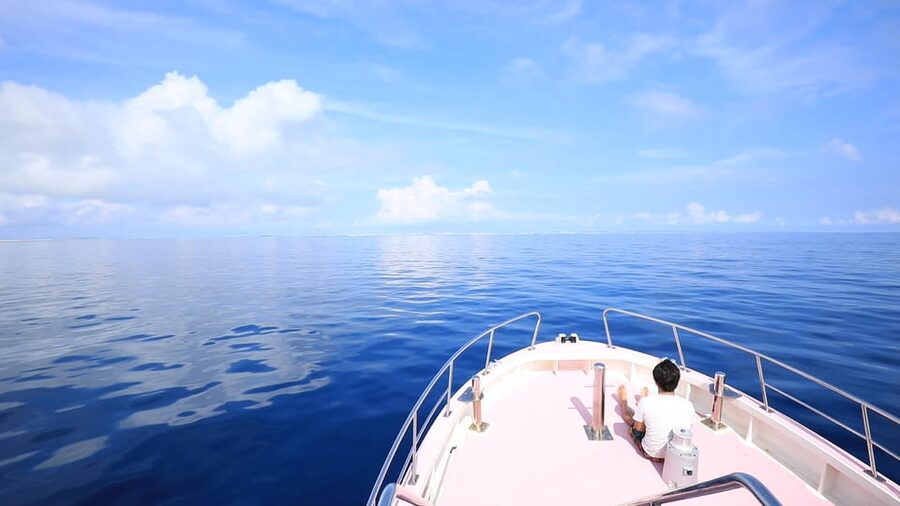 Naha, Okinawa: Kerama Islands Half-Day Whale Watching Tour - Finding humpbacks near their breeding grounds