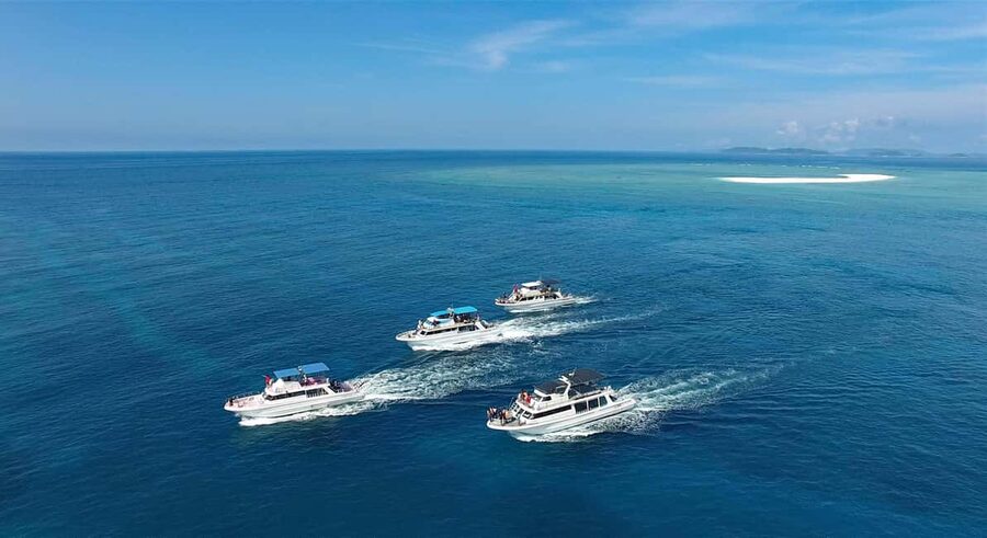 Naha, Okinawa: Kerama Islands Half-Day Whale Watching Tour - The crew, explanations, and whale photos