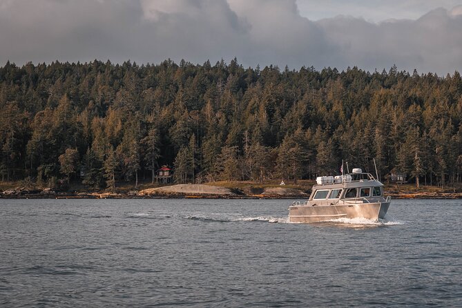 Nanaimo Whale Watching in a Semi-Covered Boat - Starting in Nanaimo with a small group