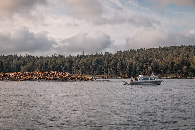 Nanaimo Whale Watching in a Semi-Covered Boat - Is the $187.76 price good value?